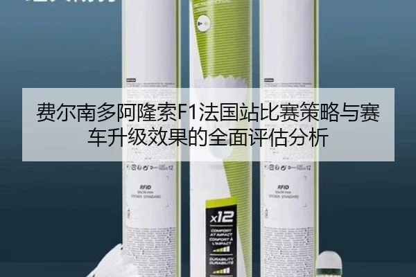 费尔南多阿隆索F1法国站比赛策略与赛车升级效果的全面评估分析 - Leyu Sports